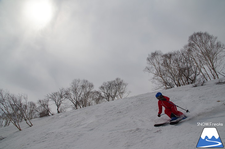 DYNASTAR SKI series Test Ride Days 2017 in ニセコユナイテッド【Day.2】～ニセコグラン・ヒラフ～